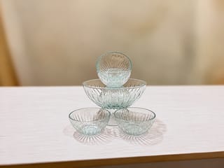 Premium Custard & Ice Cream Set [7piece] 3